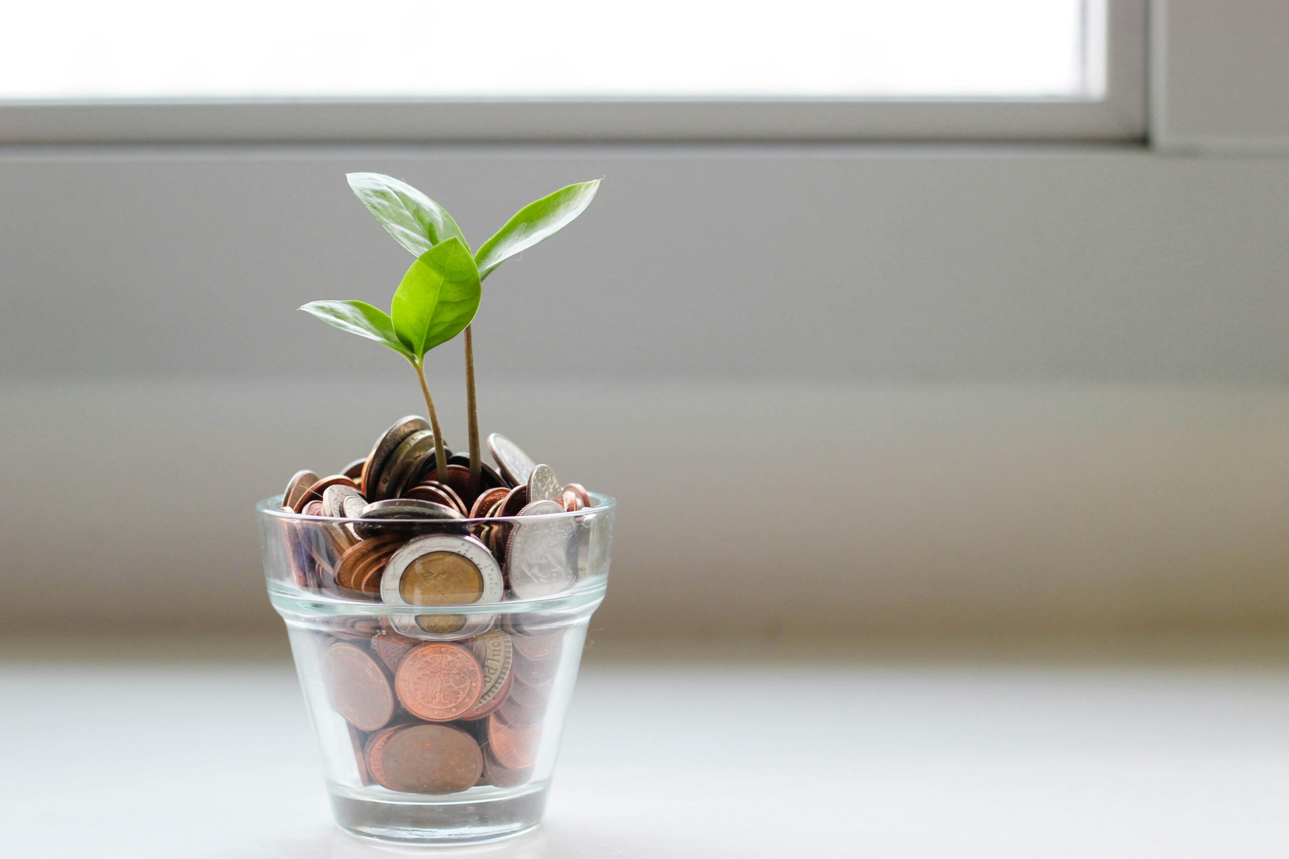 A small plant growing from a pot of loose change, showing how money can grow.